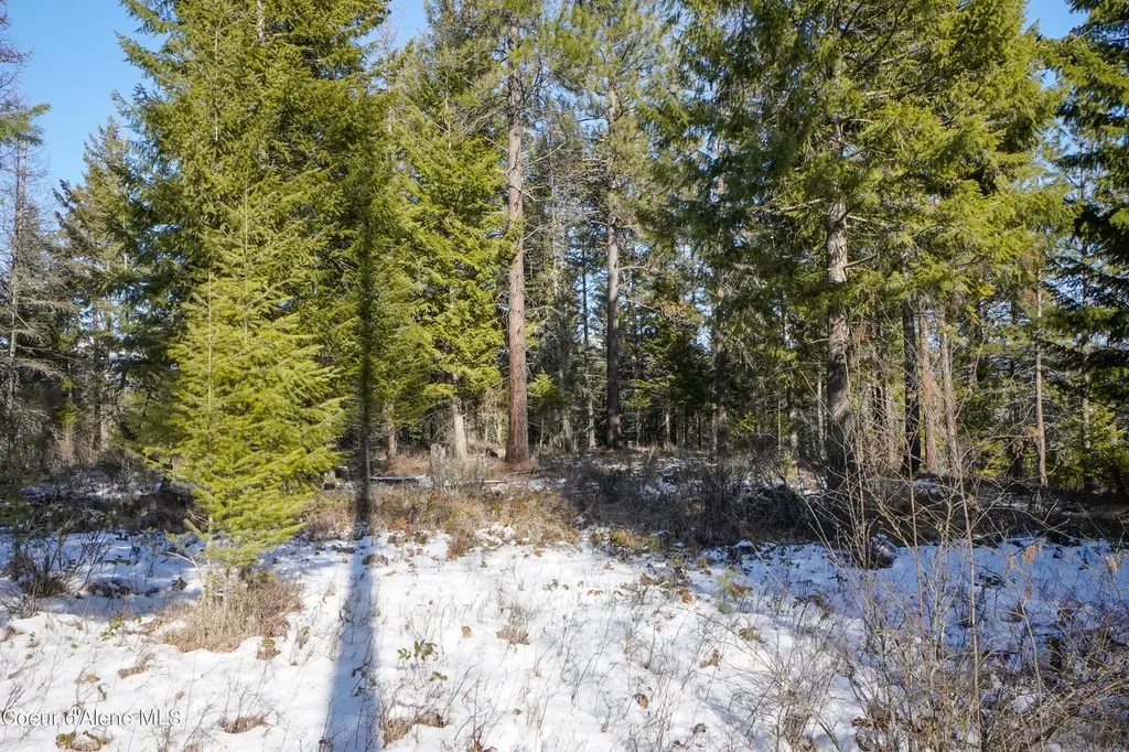 Nna Holmes Road Bonners Ferry ID 83805
