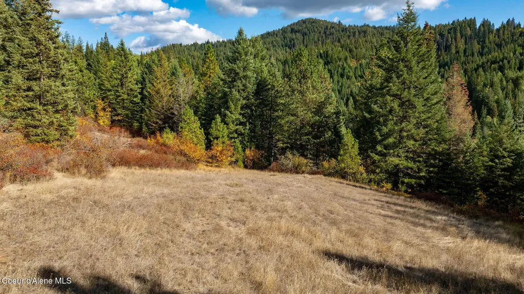 Grassy Mountain Vista St. Maries ID 83861