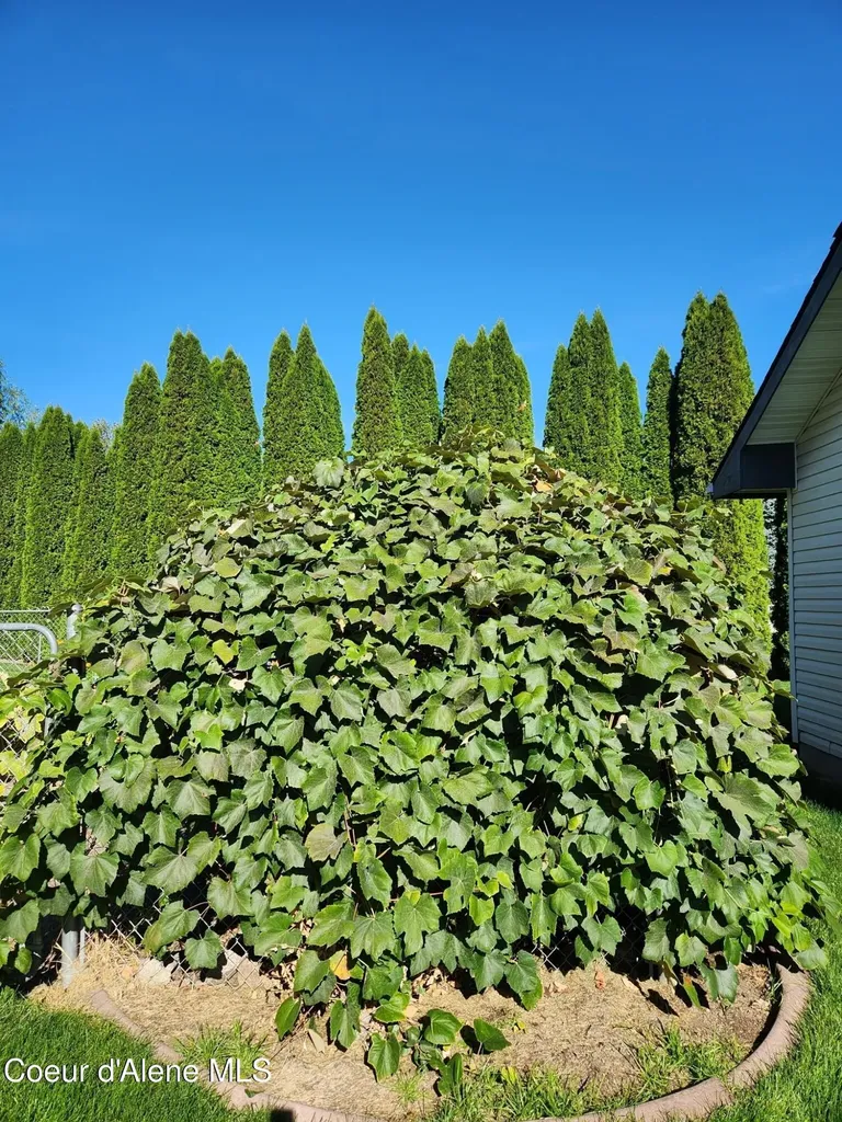 2529 W Polo Green Avenue Post Falls ID 83854