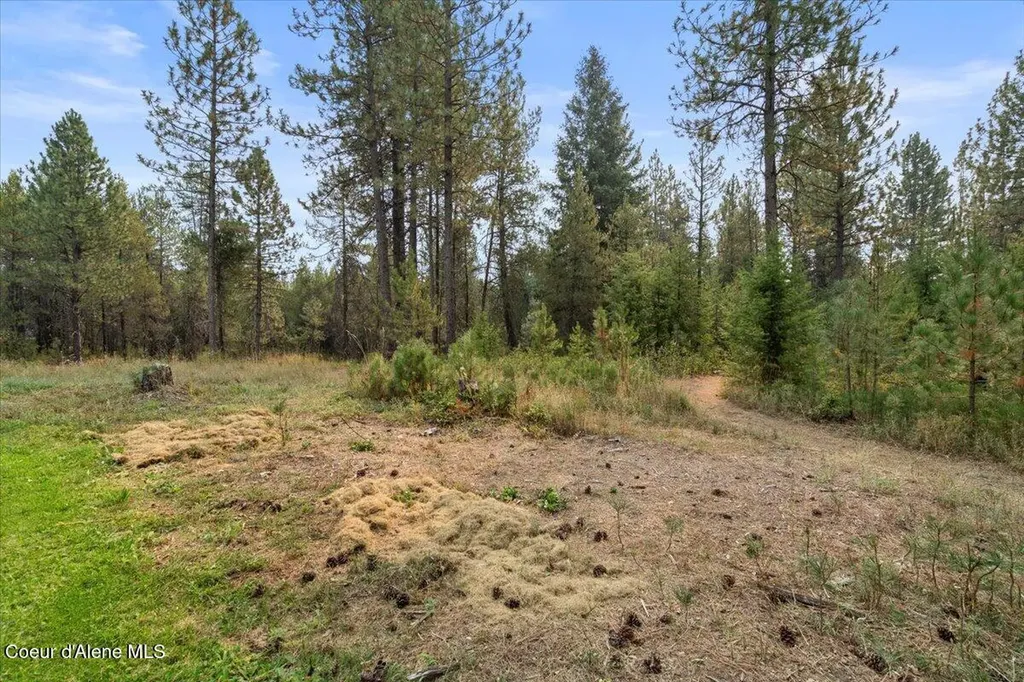 23210 N Massif Road Rathdrum ID 83858