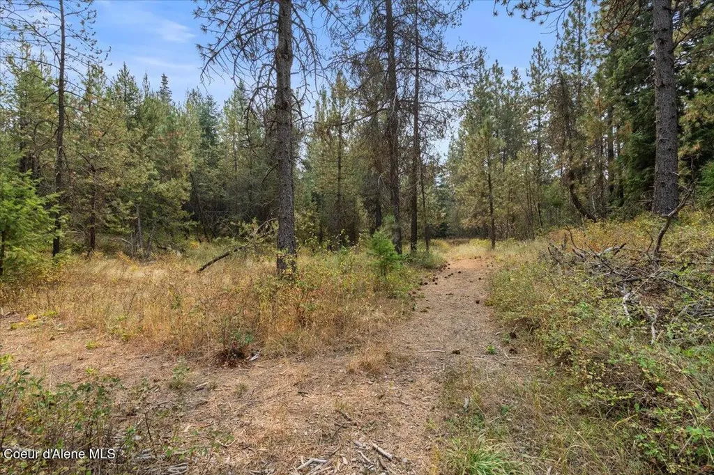 23210 N Massif Road Rathdrum ID 83858