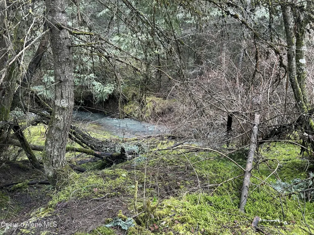Nna E Bell Canyon Road Harrison ID 83833
