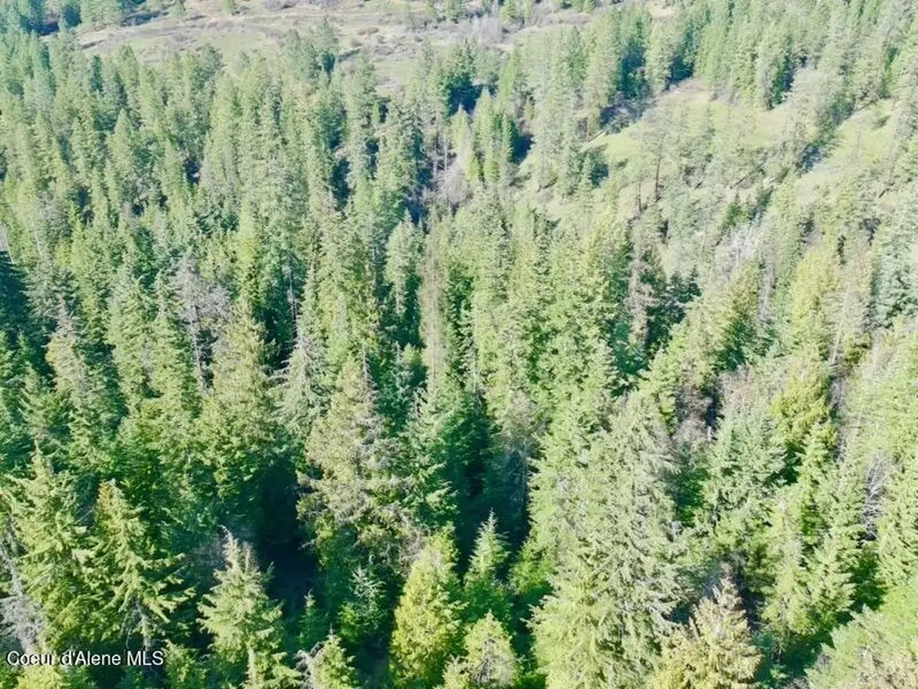 Nna E Bell Canyon Road Harrison ID 83833