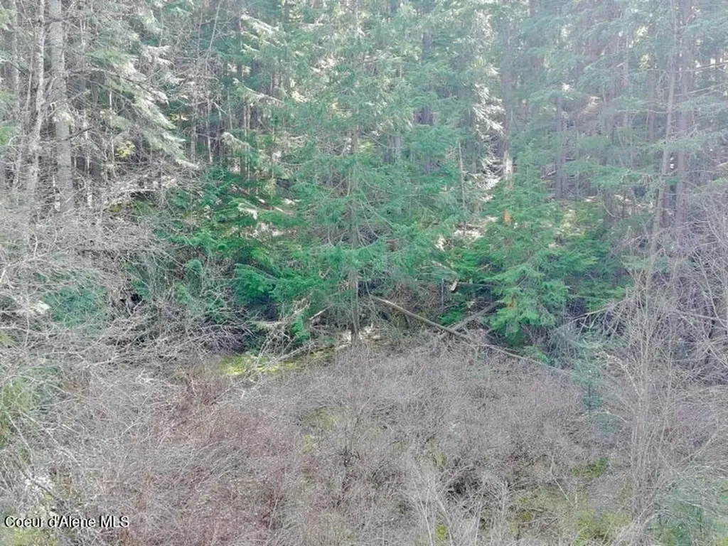 Nna E Bell Canyon Road Harrison ID 83833