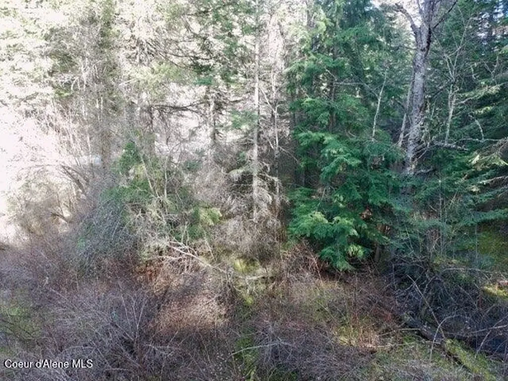Nna E Bell Canyon Road Harrison ID 83833