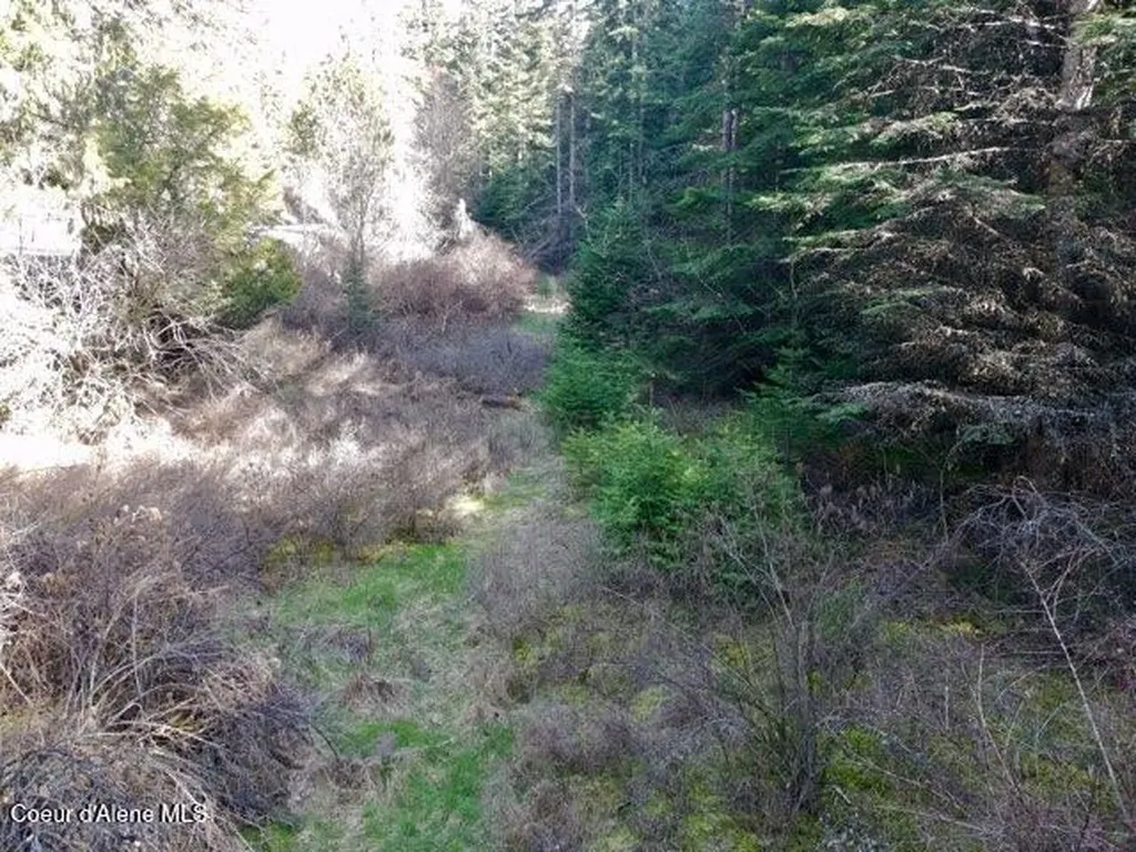 Nna E Bell Canyon Road Harrison ID 83833