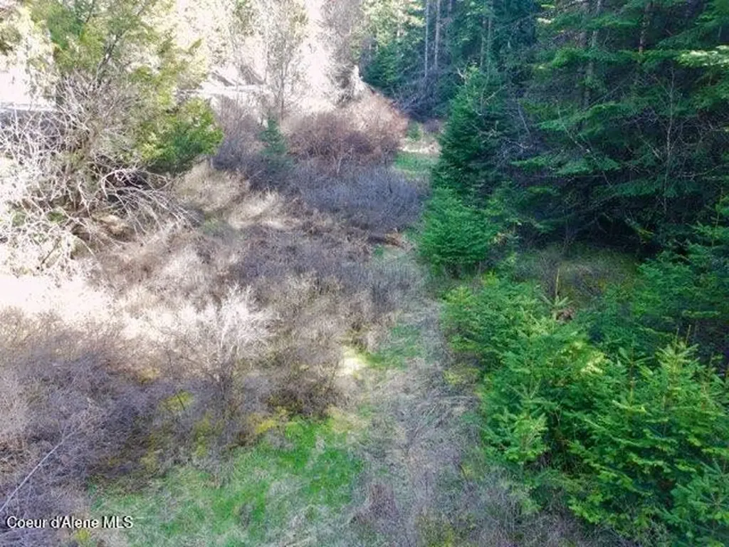 Nna E Bell Canyon Road Harrison ID 83833