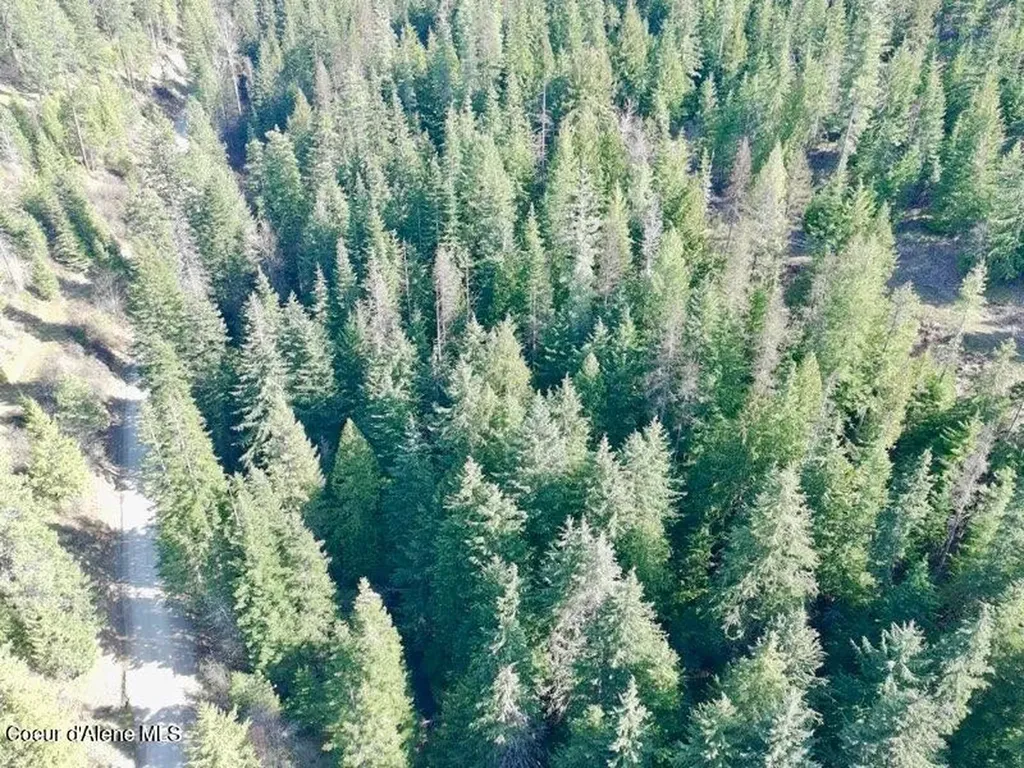 Nna E Bell Canyon Road Harrison ID 83833