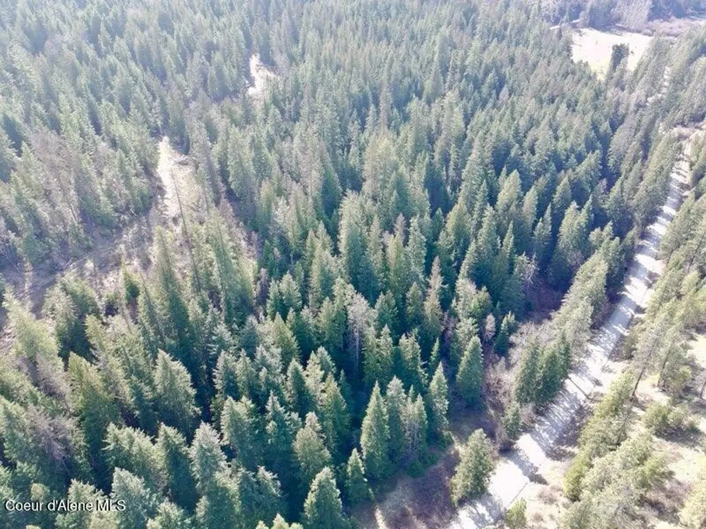 Nna E Bell Canyon Road Harrison ID 83833