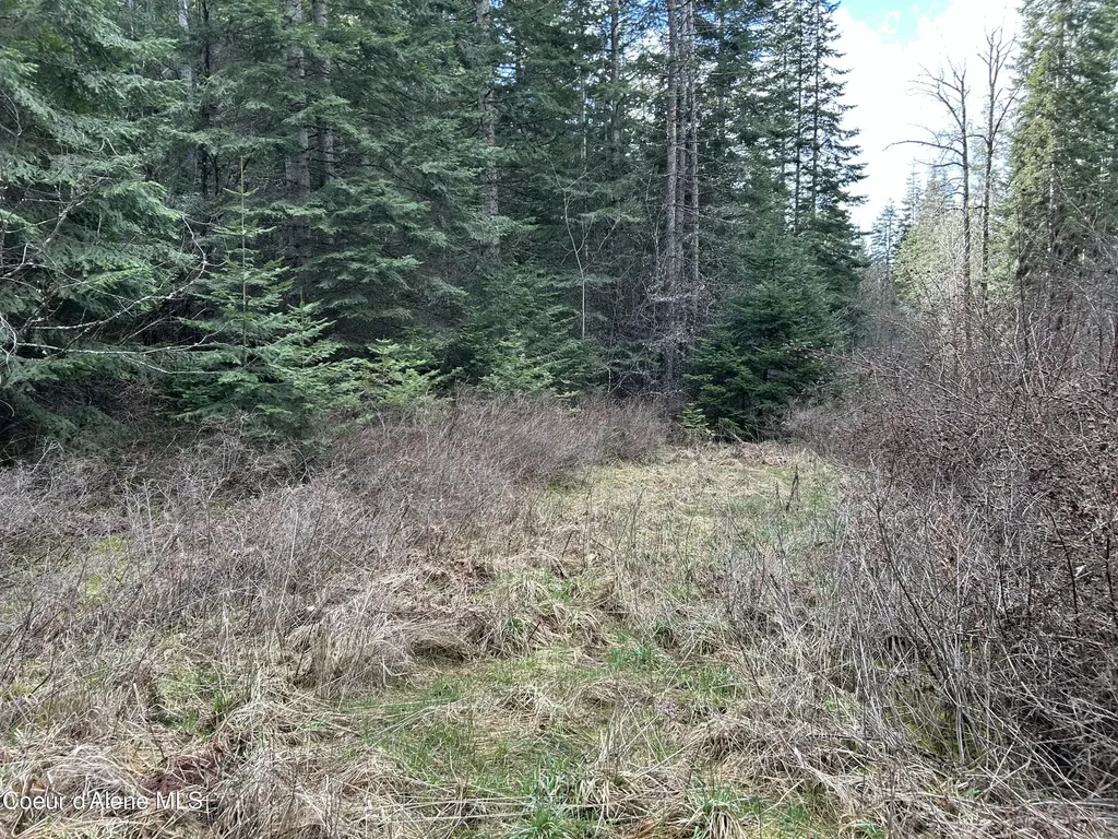 Nna E Bell Canyon Road Harrison ID 83833