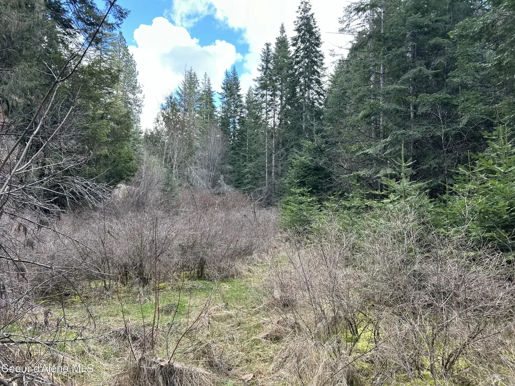 Nna E Bell Canyon Road Harrison ID 83833