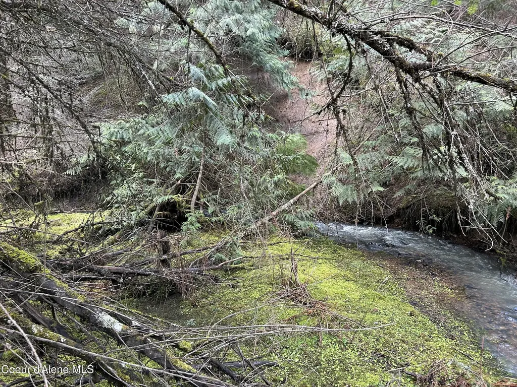 Nna E Bell Canyon Road Harrison ID 83833
