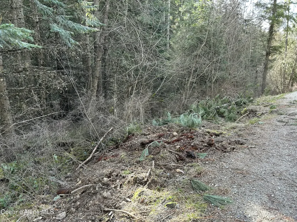 Nna E Bell Canyon Road Harrison ID 83833