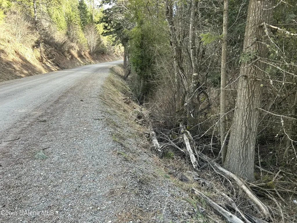 Nna E Bell Canyon Road Harrison ID 83833