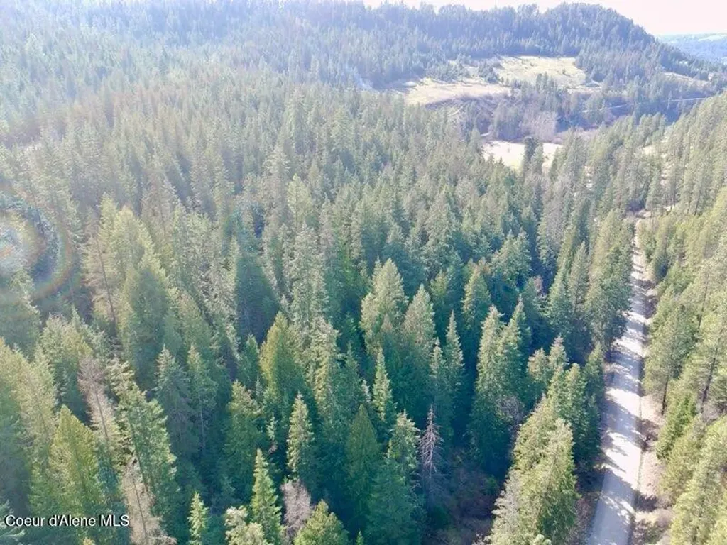 Nna E Bell Canyon Road Harrison ID 83833