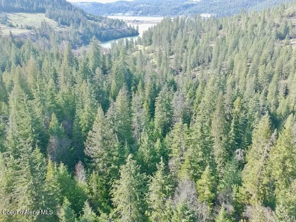 Nna E Bell Canyon Road Harrison ID 83833