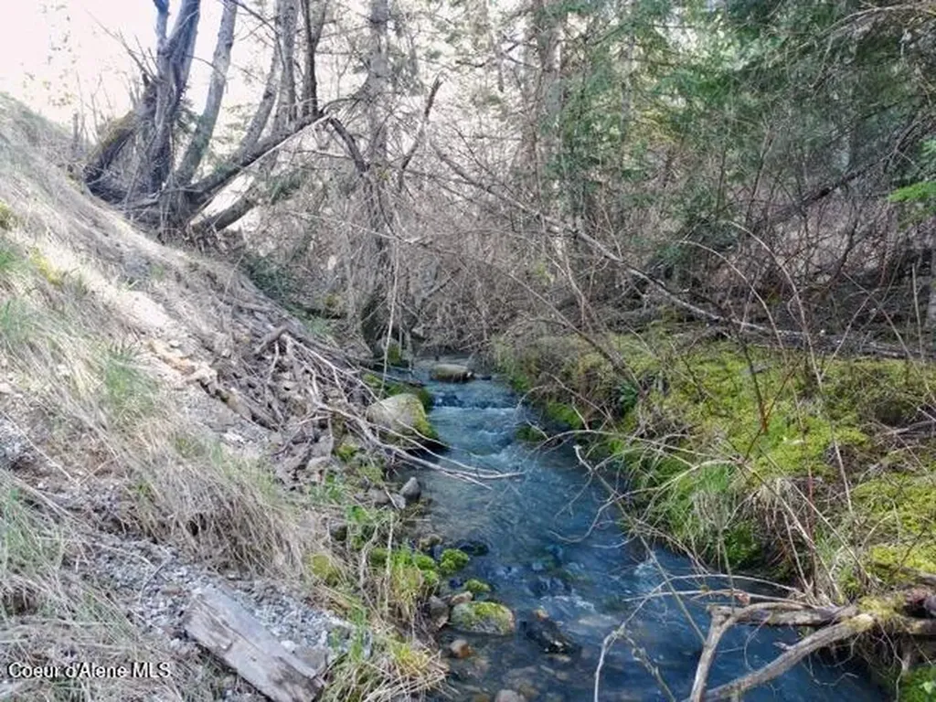 Nna E Bell Canyon Road Harrison ID 83833