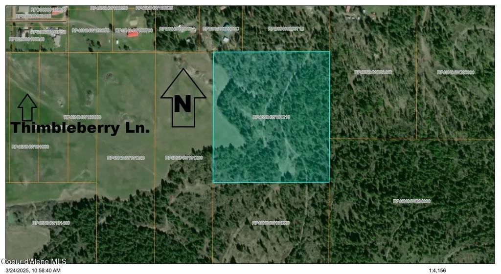 Tract 5 Thimbleberry Lane Plummer ID 83851