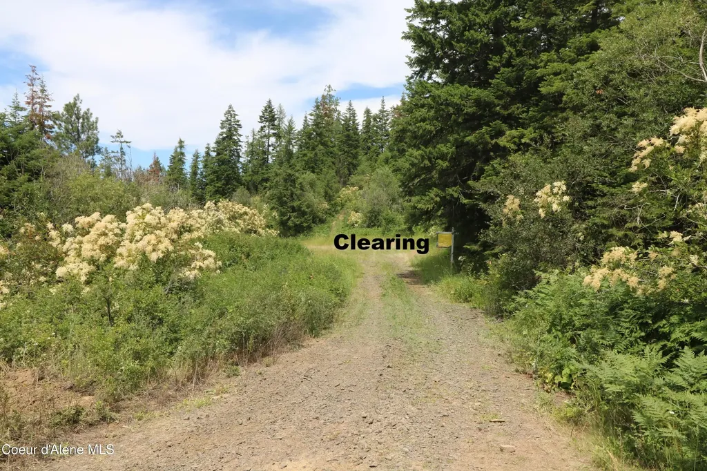 Tract 5 Thimbleberry Lane Plummer ID 83851