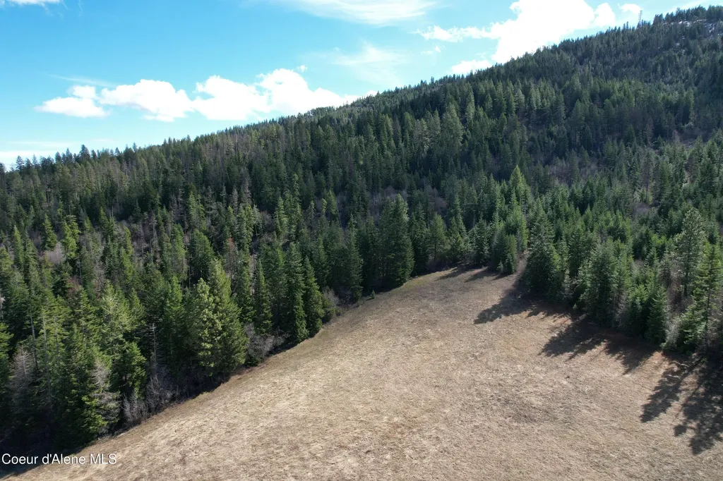 Tract 5 Thimbleberry Lane Plummer ID 83851