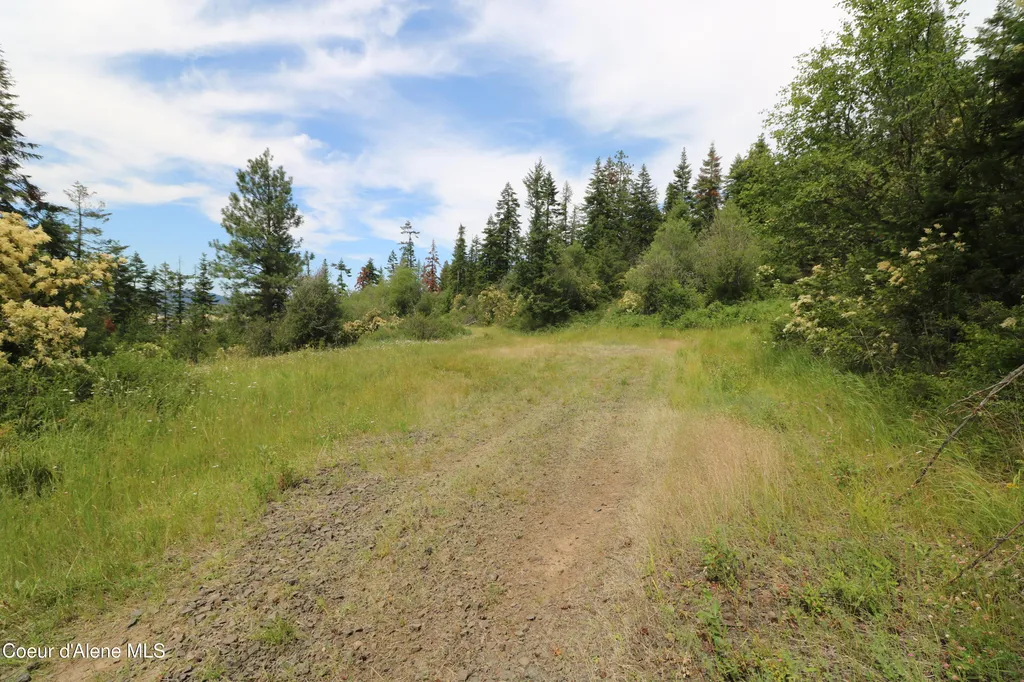 Tract 5 Thimbleberry Lane Plummer ID 83851