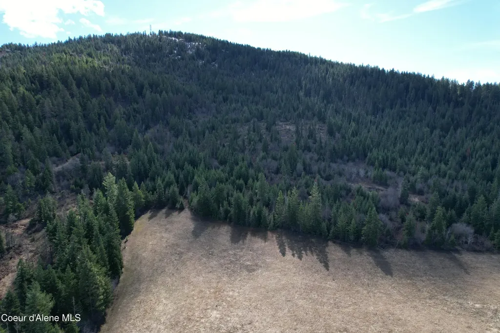 Tract 5 Thimbleberry Lane Plummer ID 83851