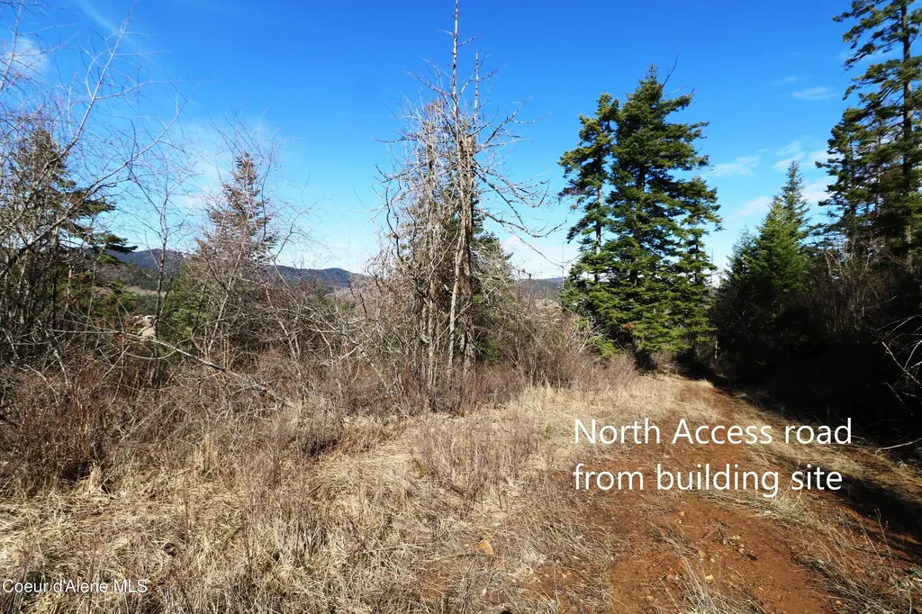 Tract 5 Thimbleberry Lane Plummer ID 83851
