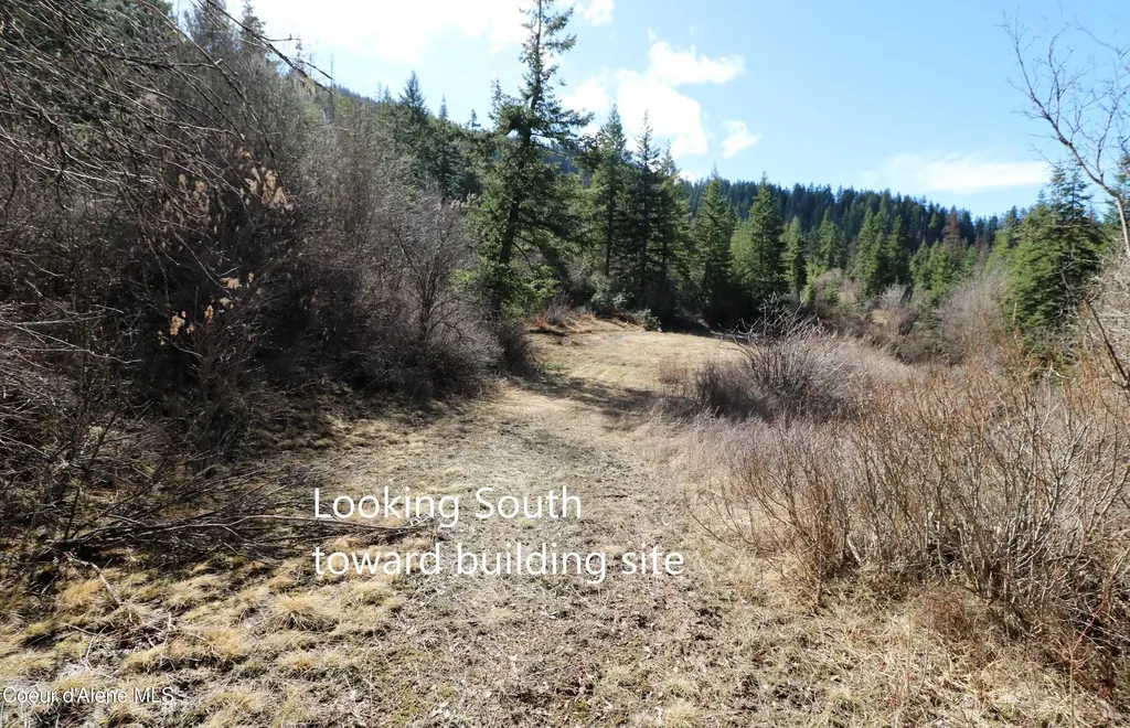 Tract 5 Thimbleberry Lane Plummer ID 83851