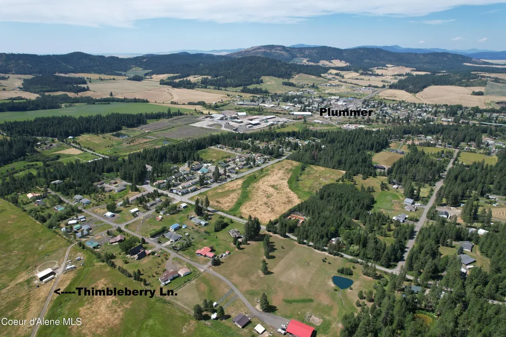 Tract 5 Thimbleberry Lane Plummer ID 83851