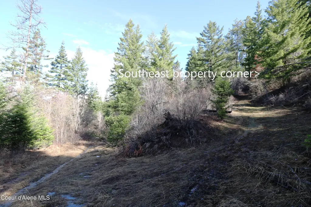 Tract 5 Thimbleberry Lane Plummer ID 83851