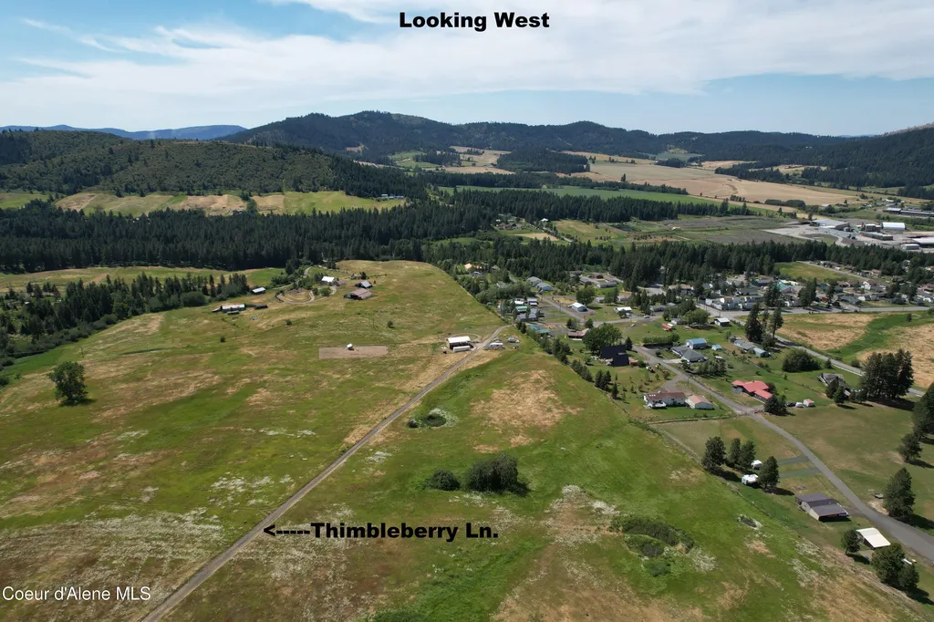 Tract 5 Thimbleberry Lane Plummer ID 83851