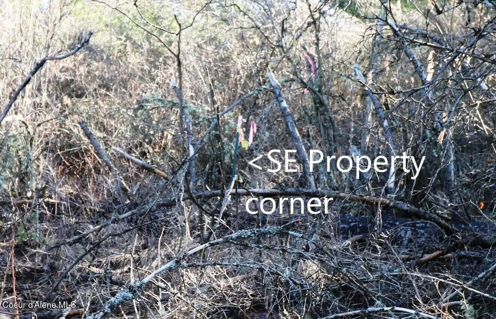 Tract 5 Thimbleberry Lane Plummer ID 83851