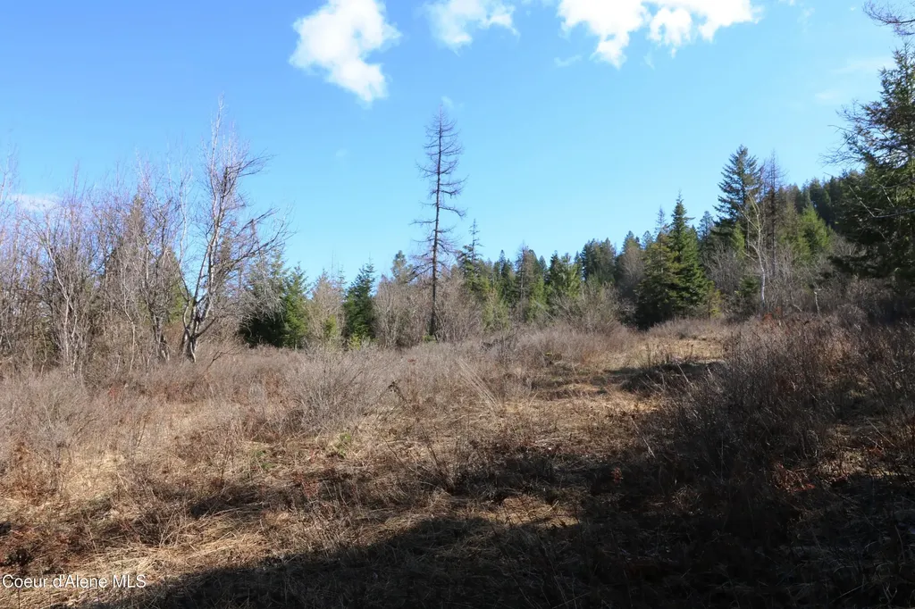 Tract 5 Thimbleberry Lane Plummer ID 83851
