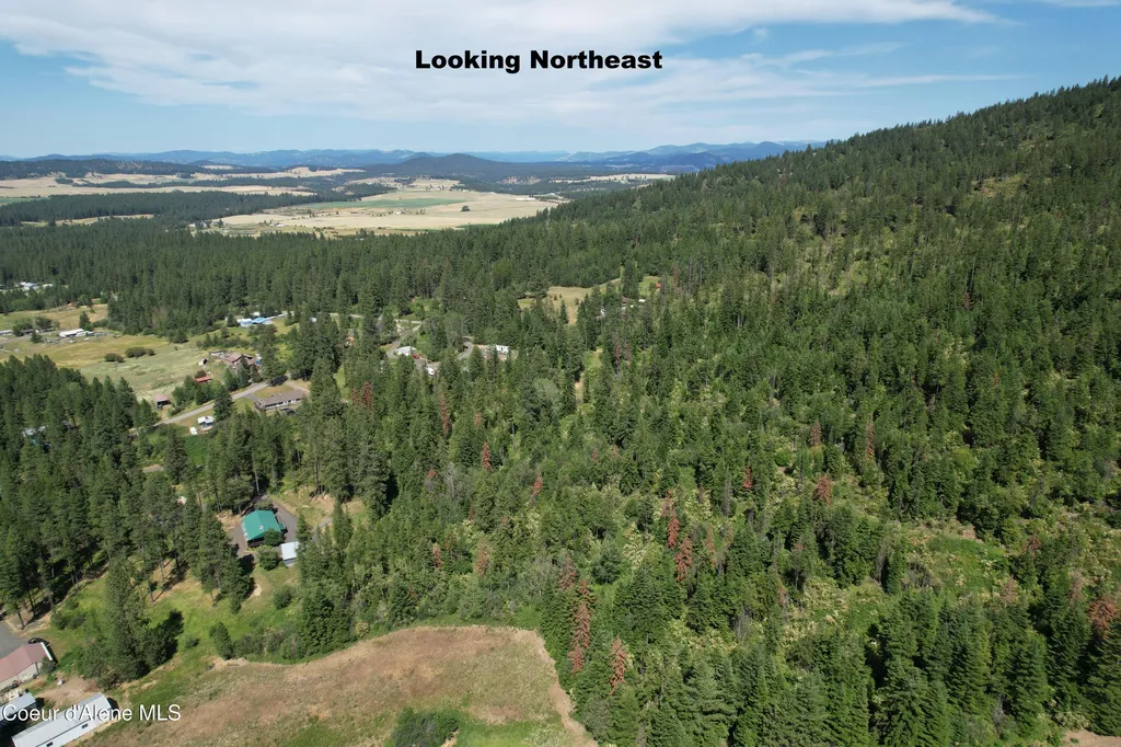 Tract 5 Thimbleberry Lane Plummer ID 83851
