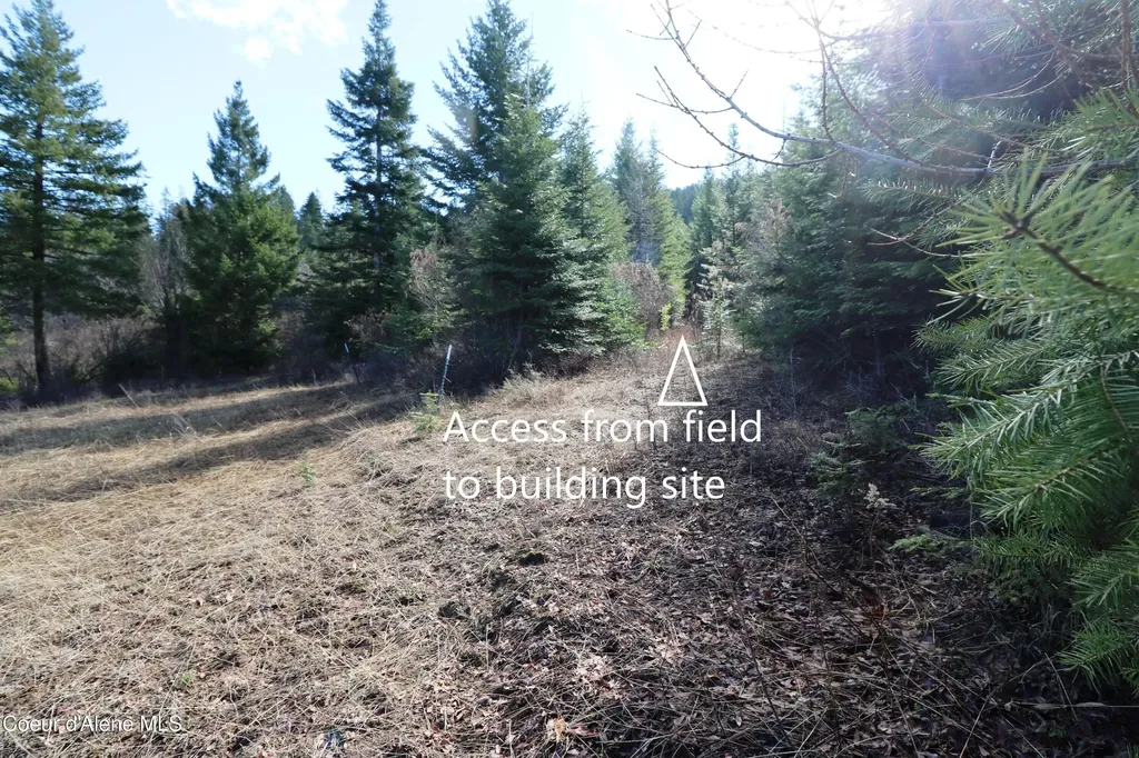 Tract 5 Thimbleberry Lane Plummer ID 83851