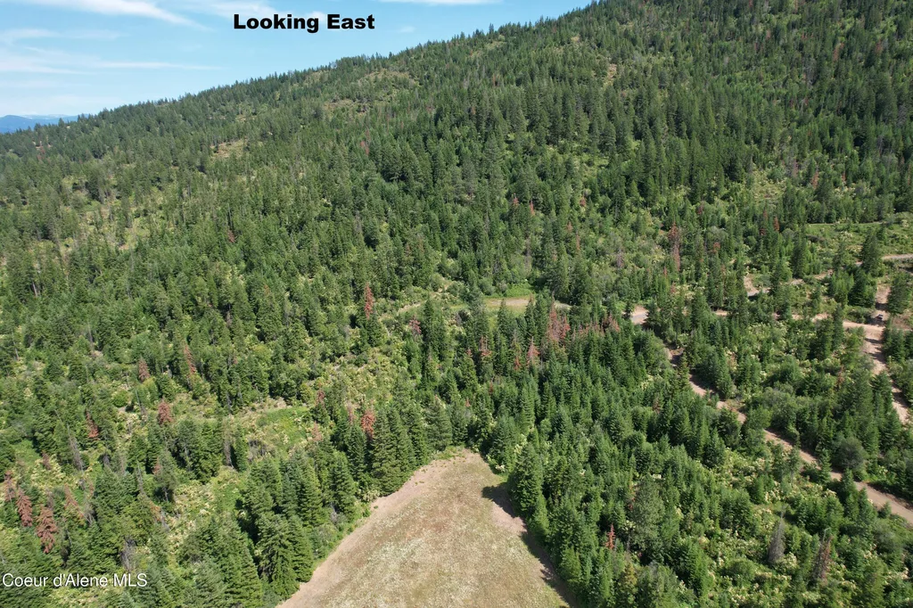 Tract 5 Thimbleberry Lane Plummer ID 83851
