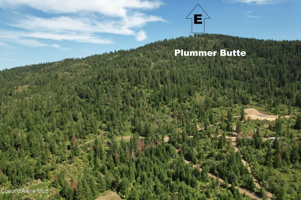 Tract 5 Thimbleberry Lane Plummer ID 83851