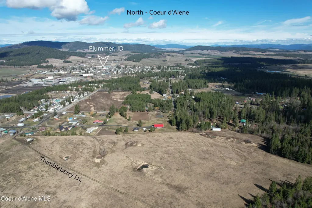 Tract 5 Thimbleberry Lane Plummer ID 83851
