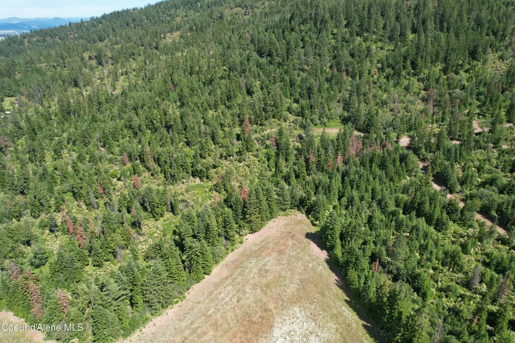 Tract 5 Thimbleberry Lane Plummer ID 83851