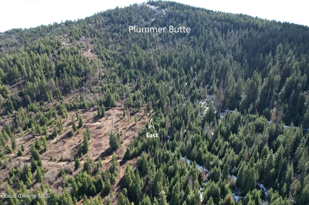 Tract 5 Thimbleberry Lane Plummer ID 83851