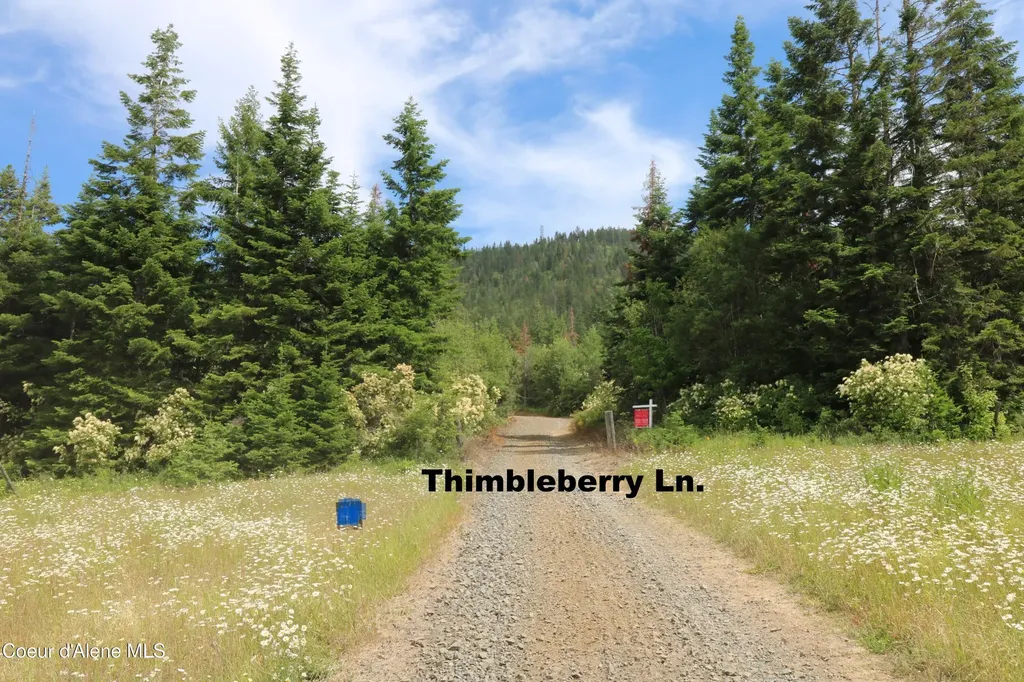 Tract 5 Thimbleberry Lane Plummer ID 83851