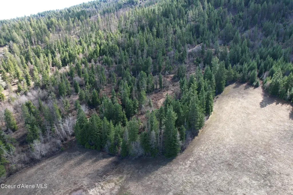Tract 5 Thimbleberry Lane Plummer ID 83851