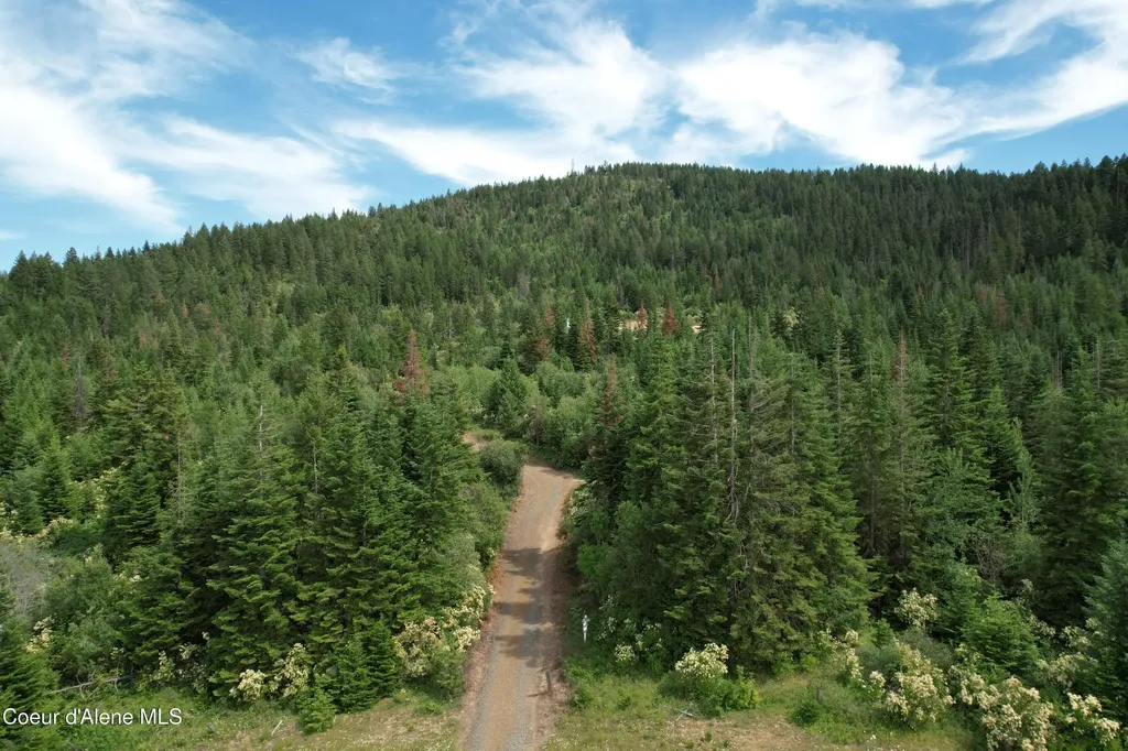 Tract 5 Thimbleberry Lane Plummer ID 83851