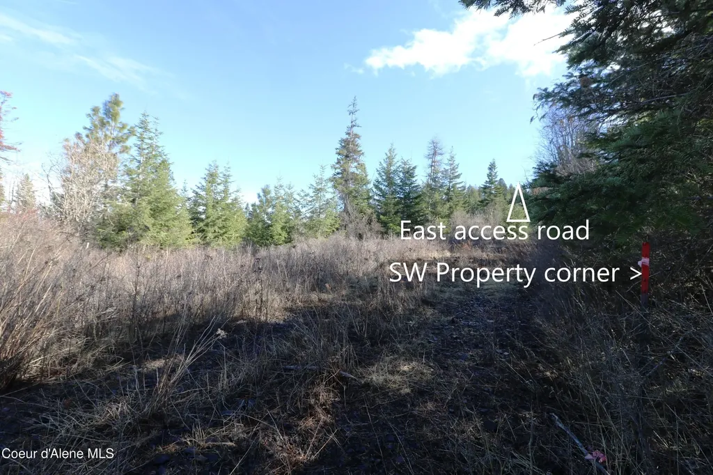 Tract 5 Thimbleberry Lane Plummer ID 83851