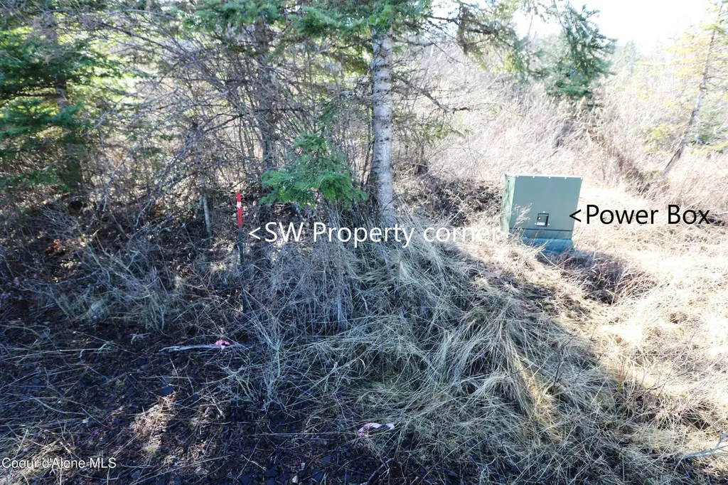 Tract 5 Thimbleberry Lane Plummer ID 83851