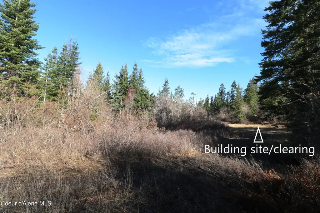 Tract 5 Thimbleberry Lane Plummer ID 83851