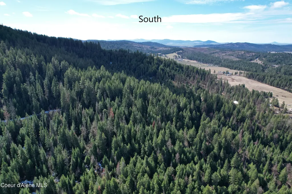 Tract 4 Thimbleberry Lane Plummer ID 83851
