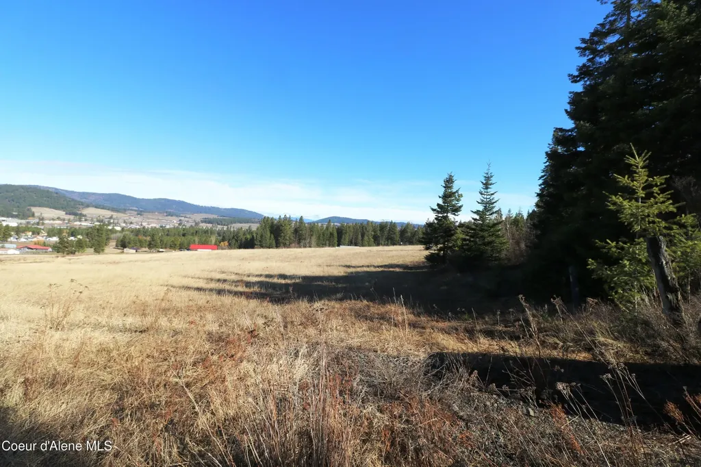Tract 4 Thimbleberry Lane Plummer ID 83851
