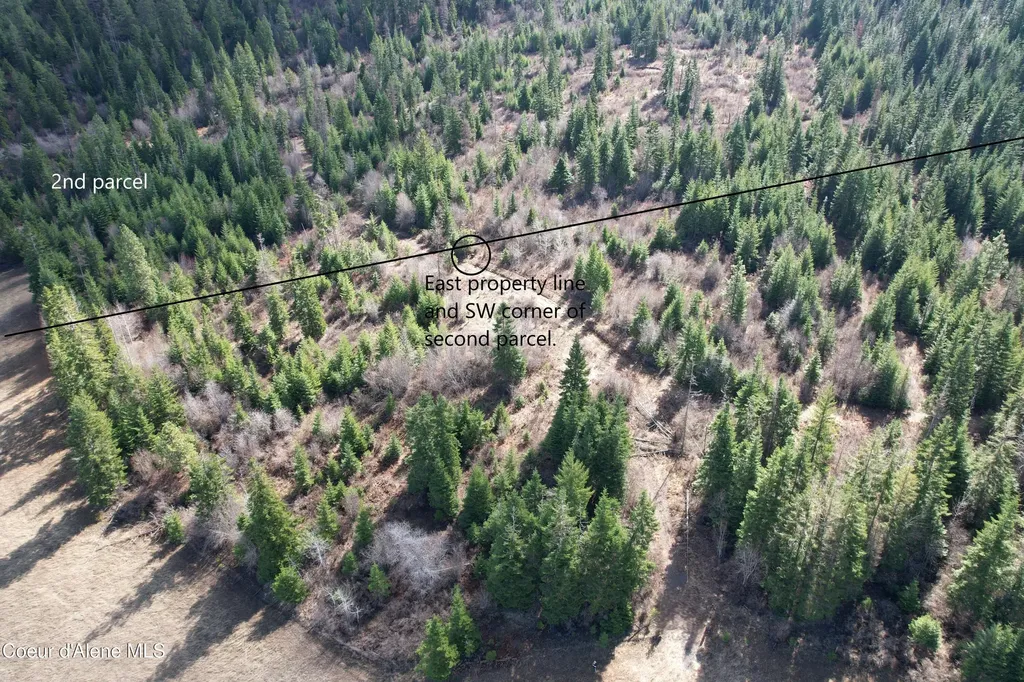 Tract 4 Thimbleberry Lane Plummer ID 83851