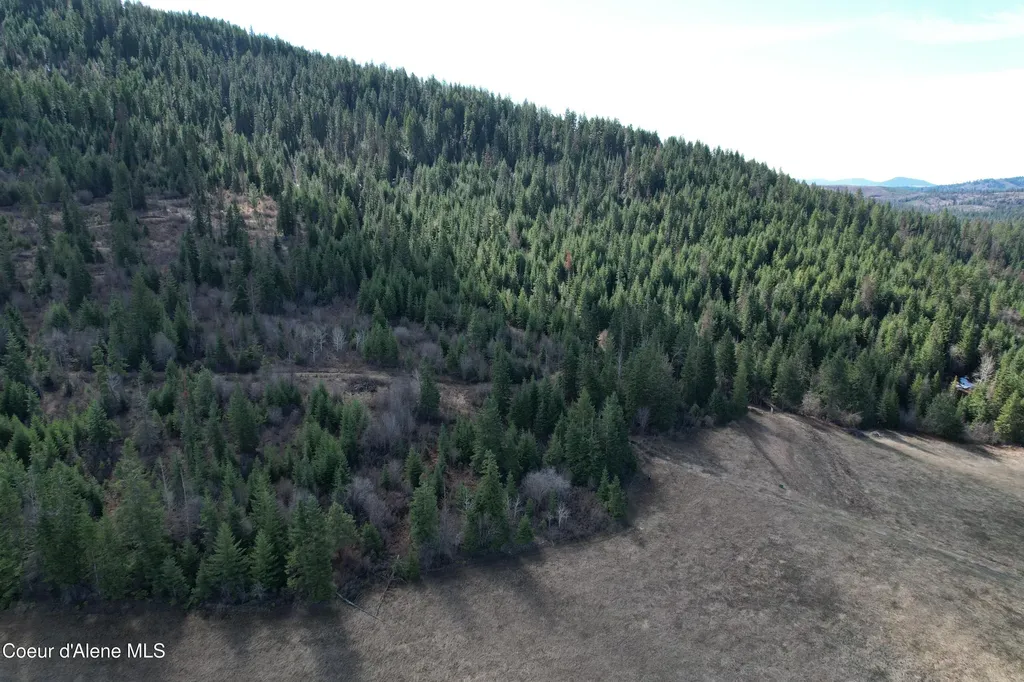 Tract 4 Thimbleberry Lane Plummer ID 83851